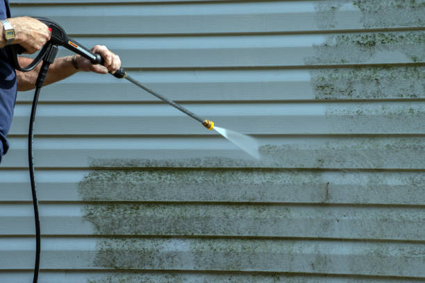 Best Local Pressure Washing Services  in Brandon, MS