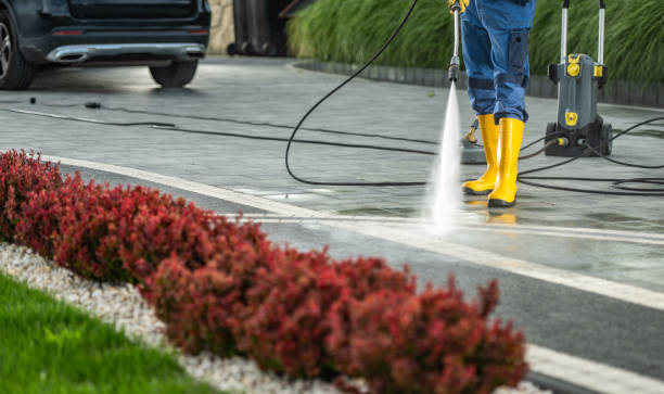 Best Pressure Washing Patio  in Brandon, MS