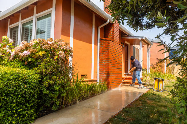 Best Residential Pressure Washing Services  in Brandon, MS